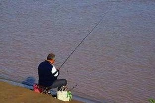 网红反差引发关注，娱乐圈动态持续发酵