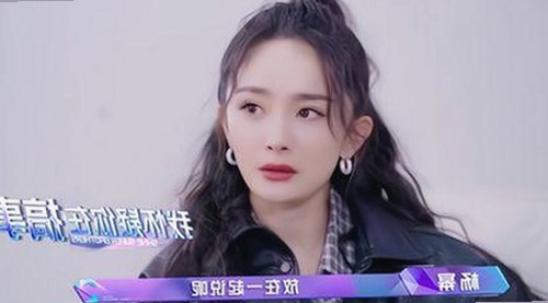 娱乐圈大揭秘：金星、空姐辣评与狗狗寻回暖心故事