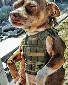 从争议到真相：揭秘影视娱乐圈的幕后风云